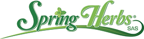 Spring Herbs